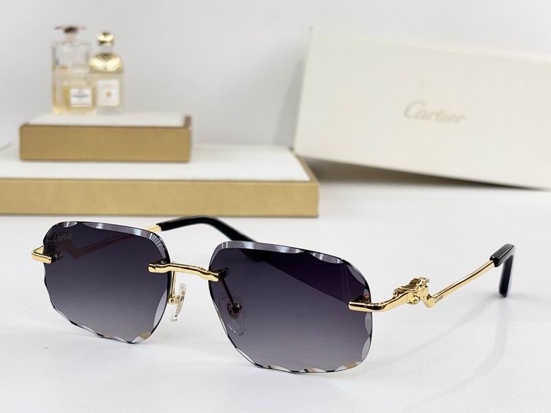 Cartier Glasses smr (3006)