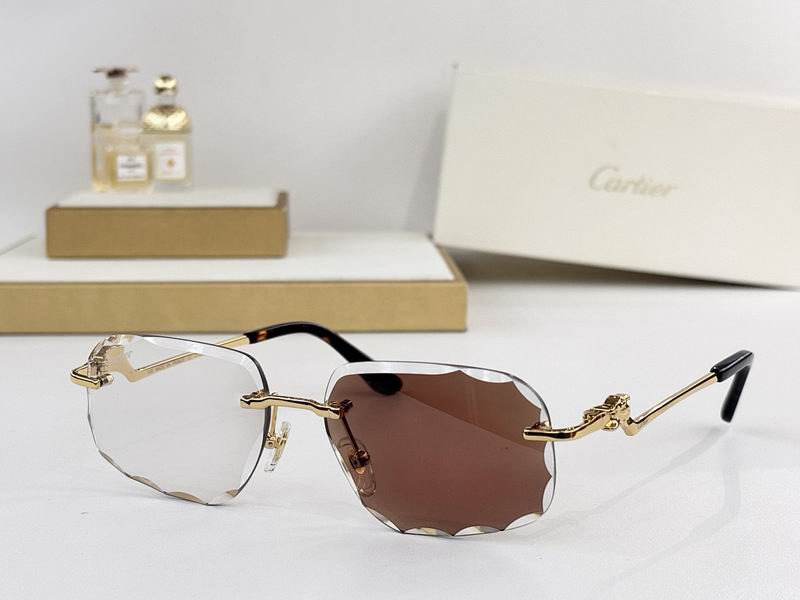 Cartier Glasses smr (3012)