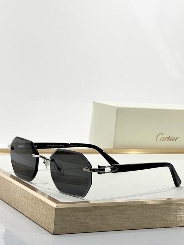 Cartier Glasses smr (3021)