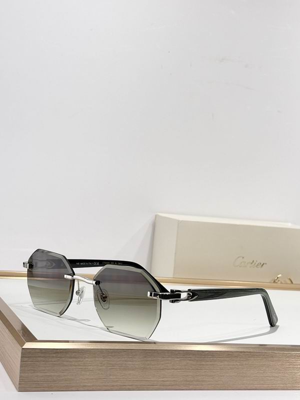 Cartier Glasses smr (3023)