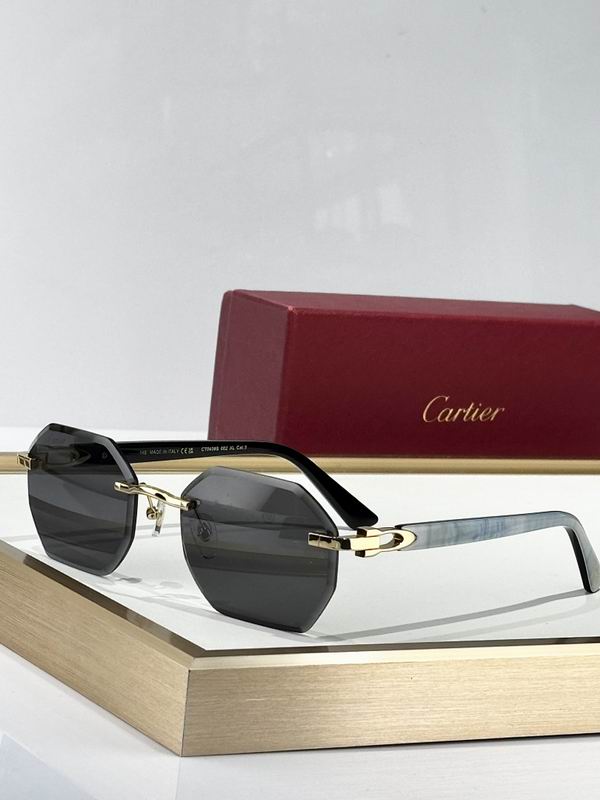 Cartier Glasses smr (3029)