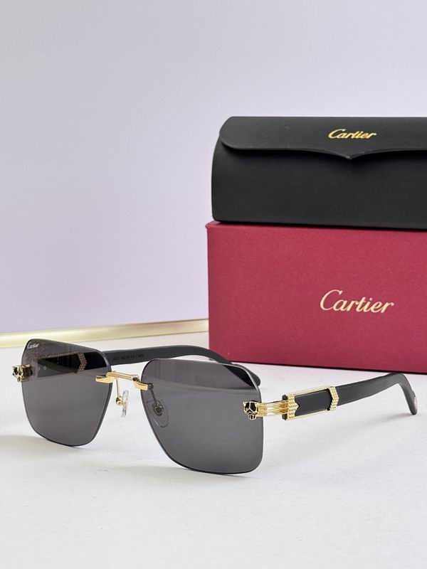 Cartier Glasses smr (3037)
