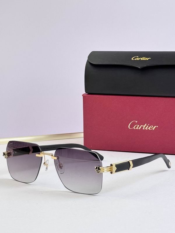 Cartier Glasses smr (3038)