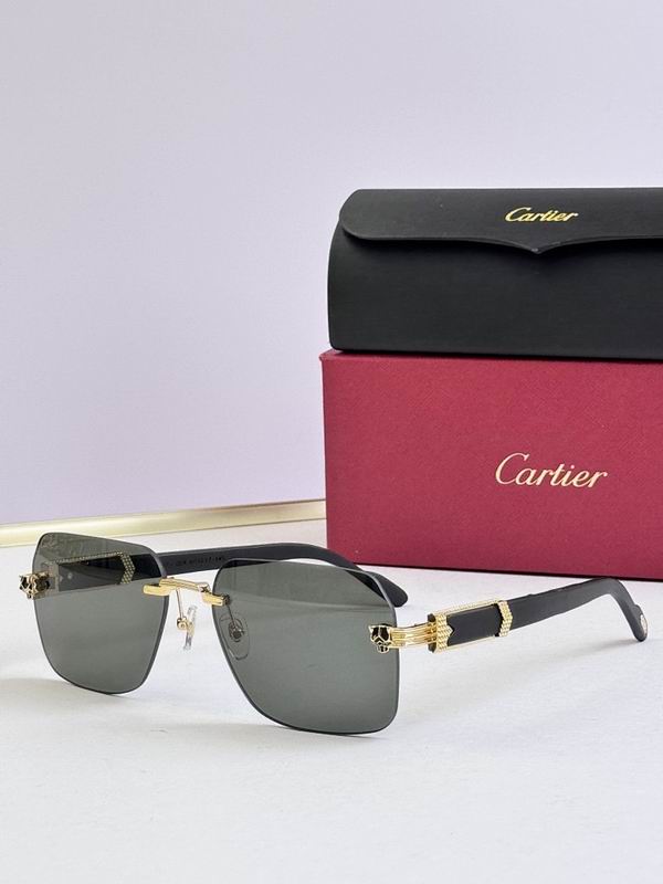 Cartier Glasses smr (3040)