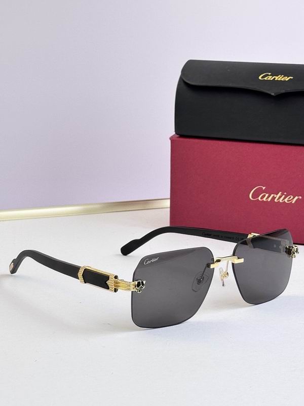 Cartier Glasses smr (3043)
