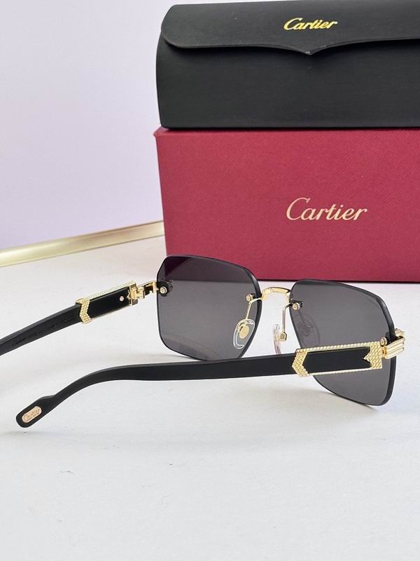 Cartier Glasses smr (3044)