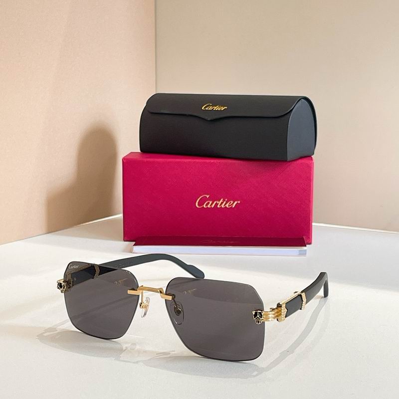 Cartier Glasses smr (3047)