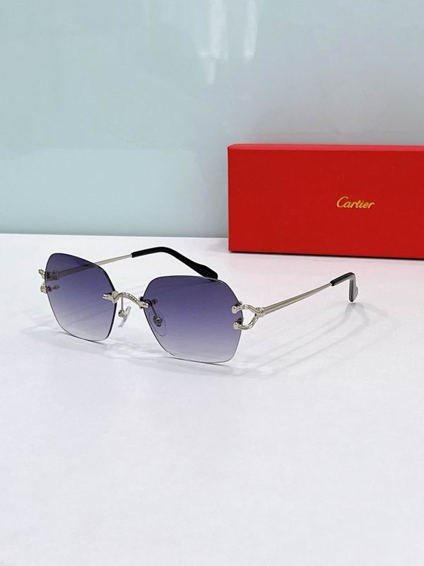 Cartier Glasses smr (305)