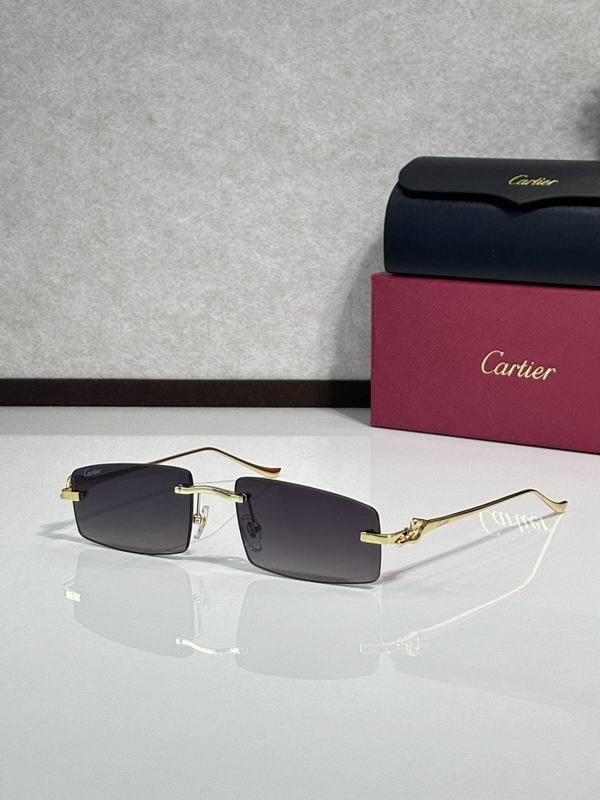 Cartier Glasses smr (3054)
