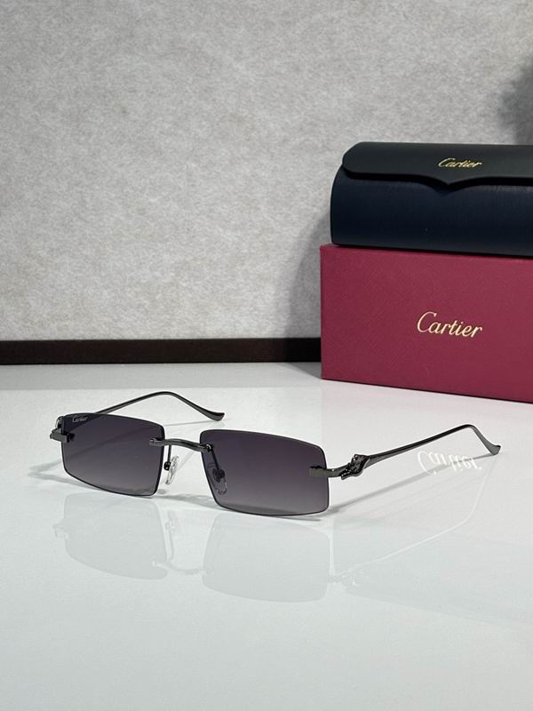 Cartier Glasses smr (3058)