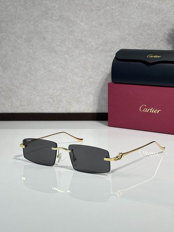 Cartier Glasses smr (3059)