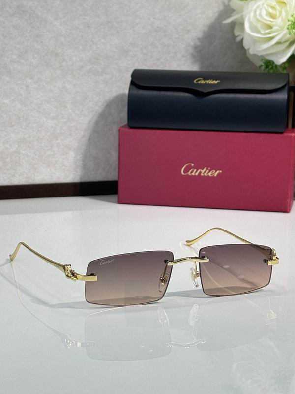 Cartier Glasses smr (3061)
