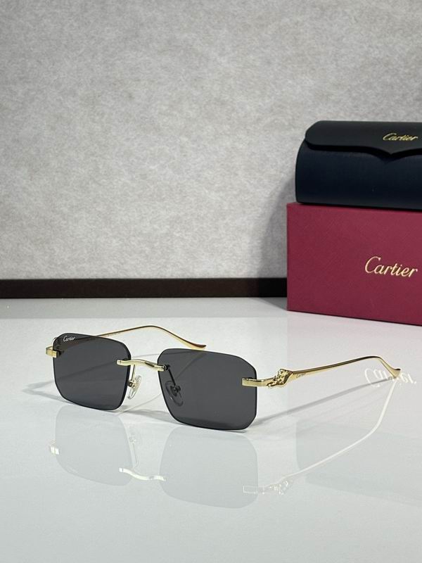 Cartier Glasses smr (3065)