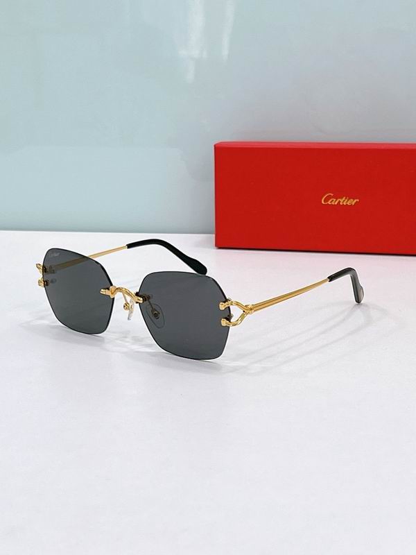 Cartier Glasses smr (307)