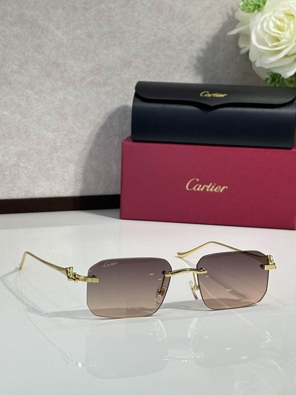 Cartier Glasses smr (3071)