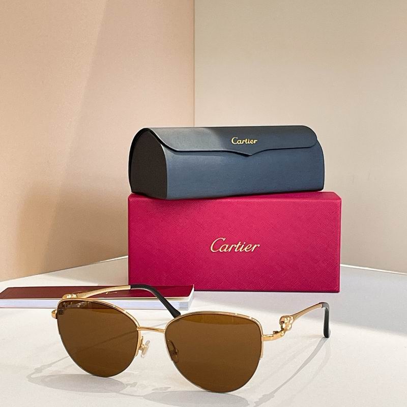 Cartier Glasses smr (3107)