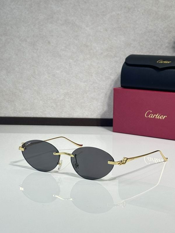 Cartier Glasses smr (3113)