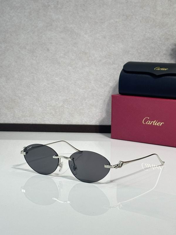 Cartier Glasses smr (3117)