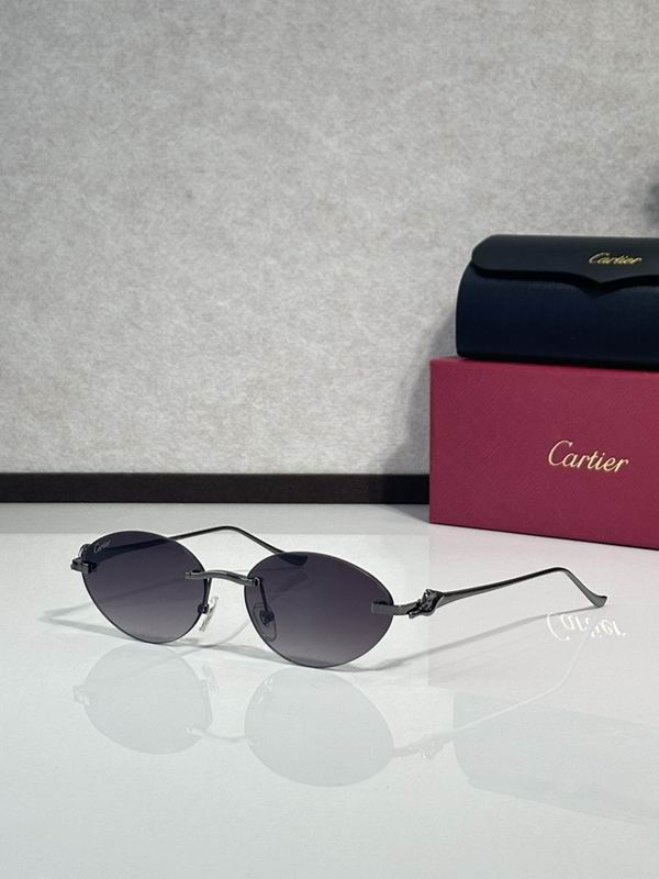 Cartier Glasses smr (3119)
