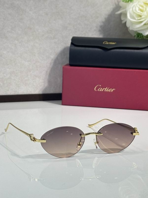 Cartier Glasses smr (3120)