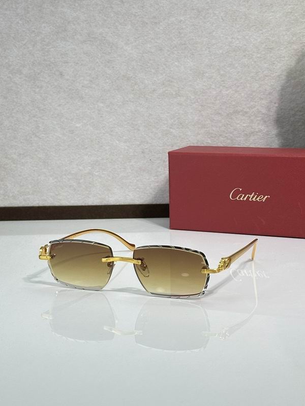Cartier Glasses smr (313)