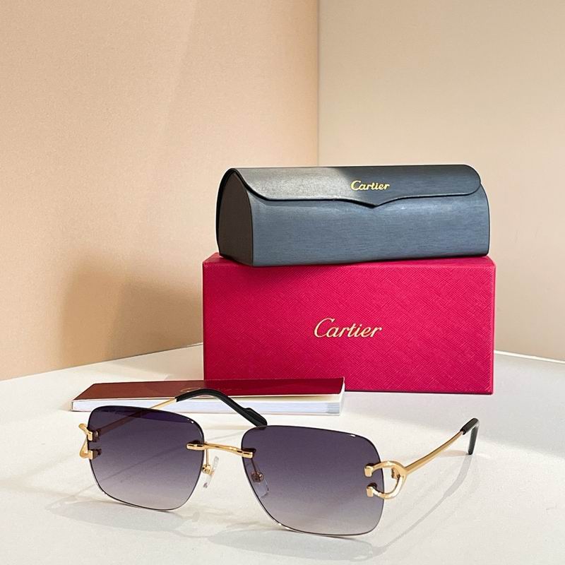 Cartier Glasses smr (3131)