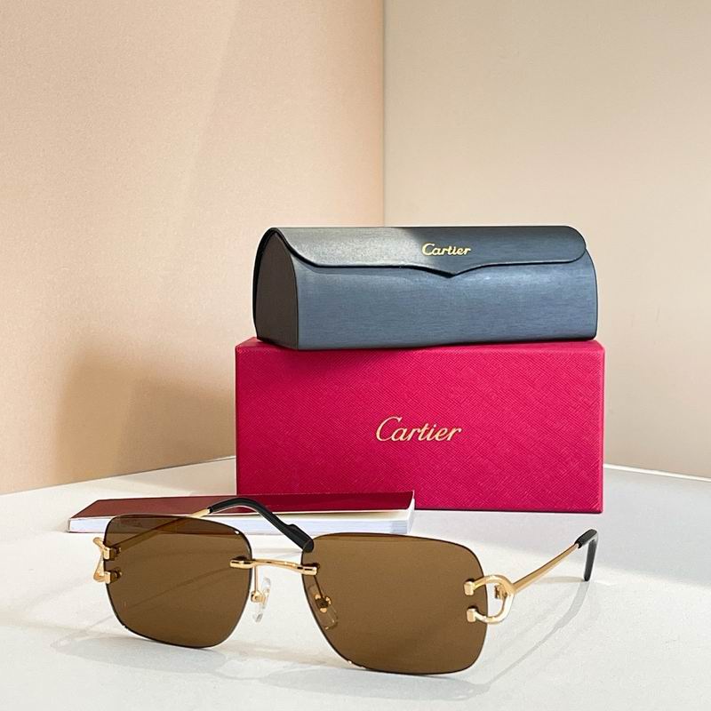Cartier Glasses smr (3135)
