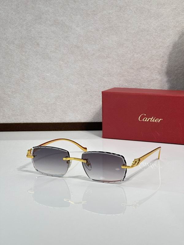 Cartier Glasses smr (314)