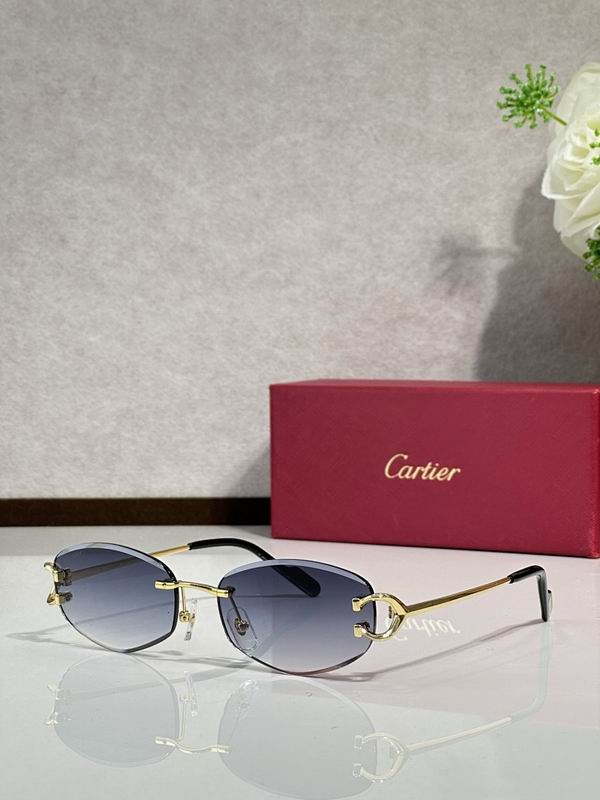 Cartier Glasses smr (3143)