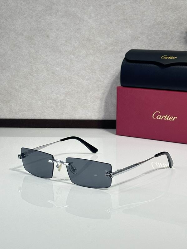 Cartier Glasses smr (3149)