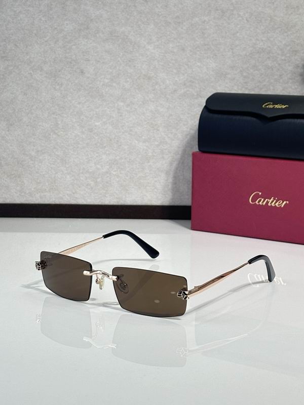Cartier Glasses smr (3150)
