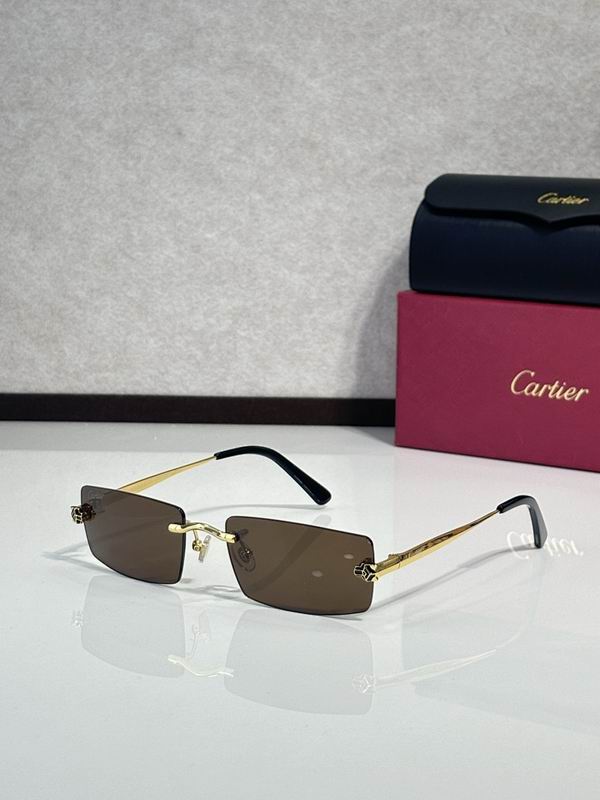 Cartier Glasses smr (3154)