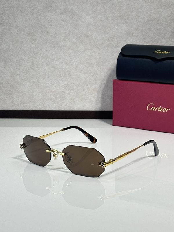 Cartier Glasses smr (3163)