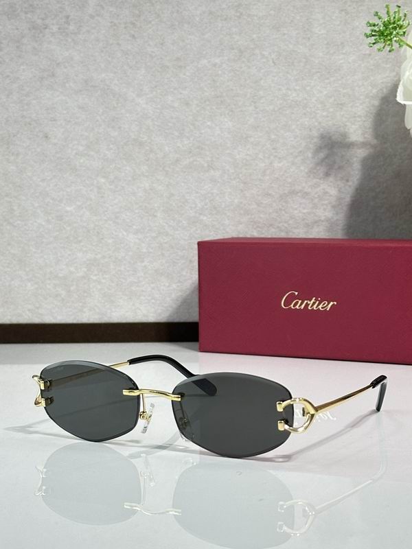Cartier Glasses smr (3165)