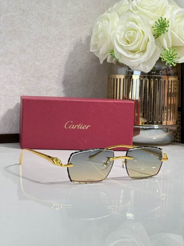 Cartier Glasses smr (317)