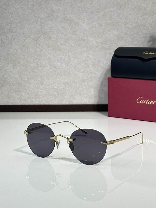 Cartier Glasses smr (3174)