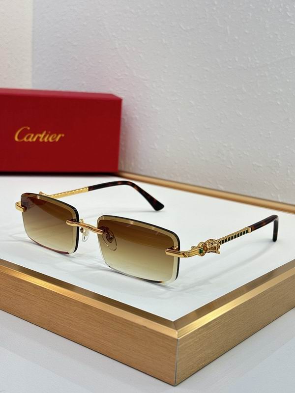 Cartier Glasses smr (3210)