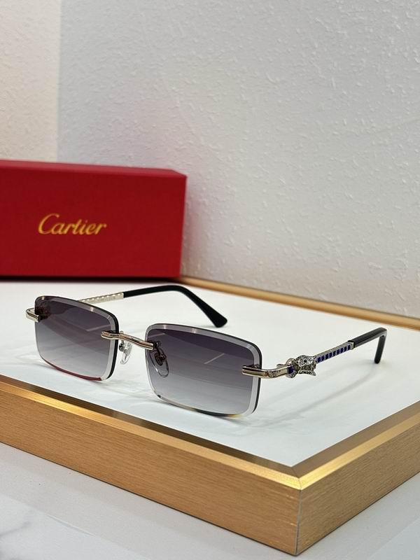 Cartier Glasses smr (3211)
