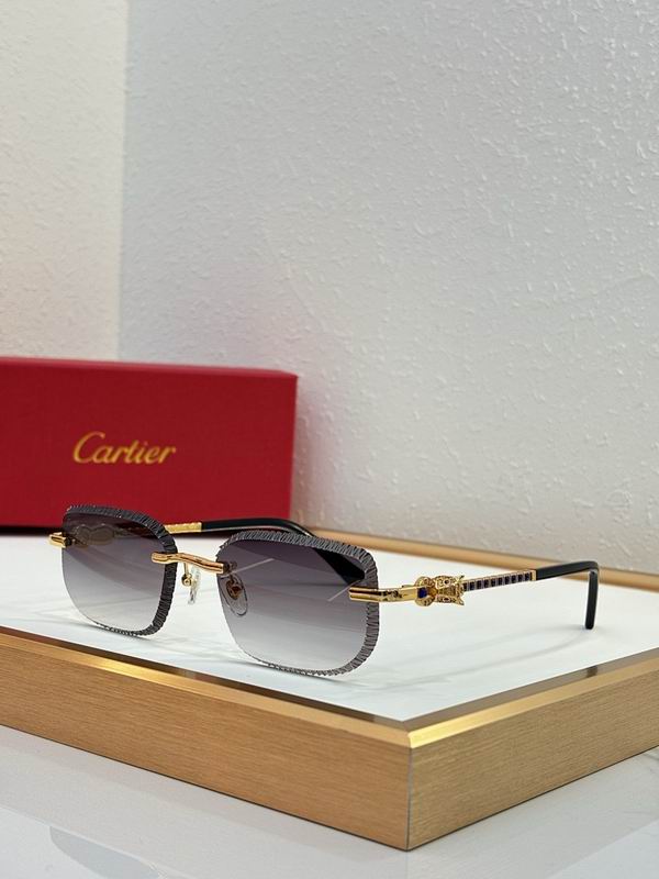 Cartier Glasses smr (3219)
