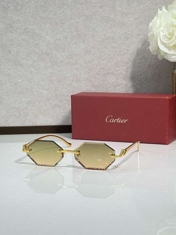 Cartier Glasses smr (322)