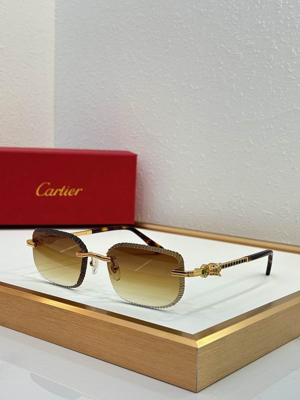 Cartier Glasses smr (3220)