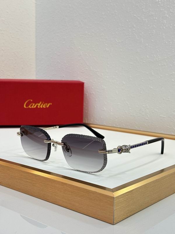 Cartier Glasses smr (3221)