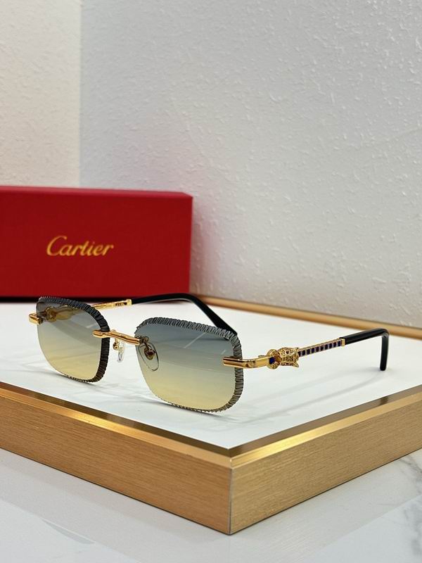 Cartier Glasses smr (3224)
