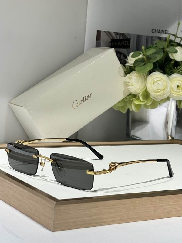 Cartier Glasses smr (3231)