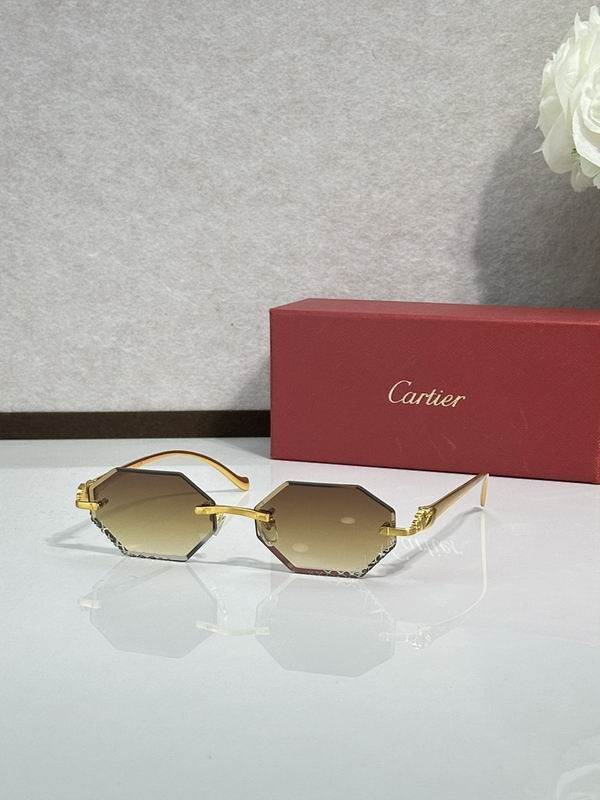 Cartier Glasses smr (326)