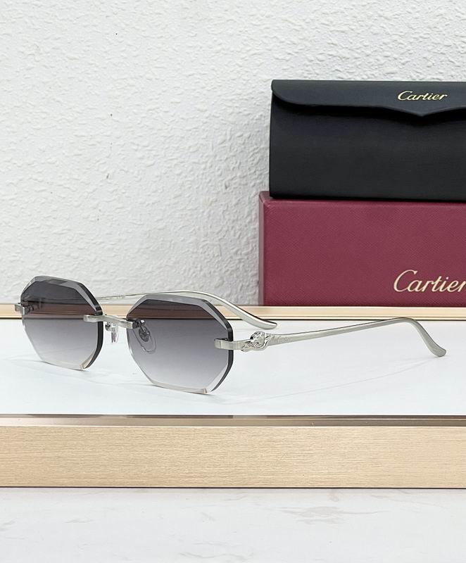 Cartier Glasses smr (33)