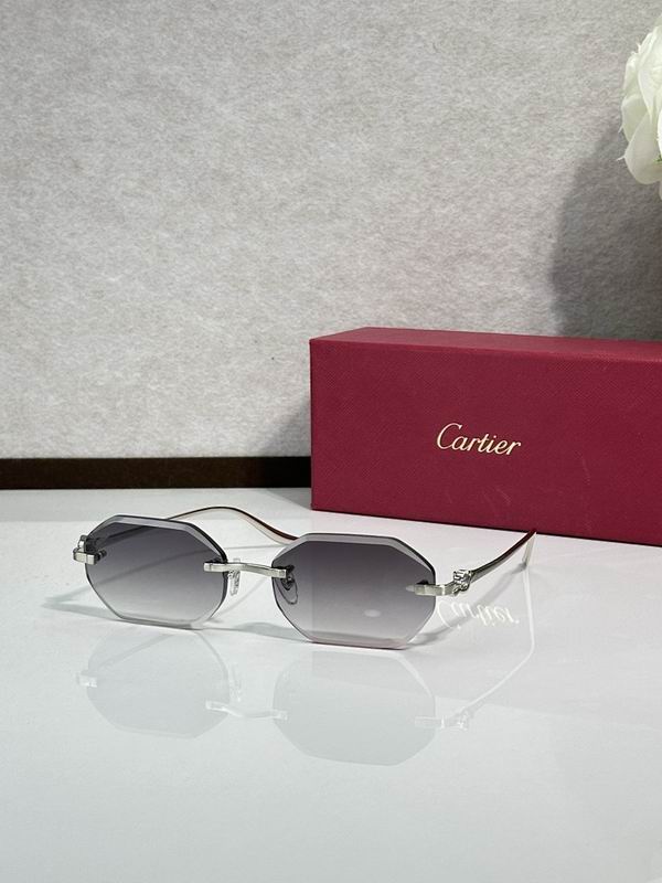 Cartier Glasses smr (331)