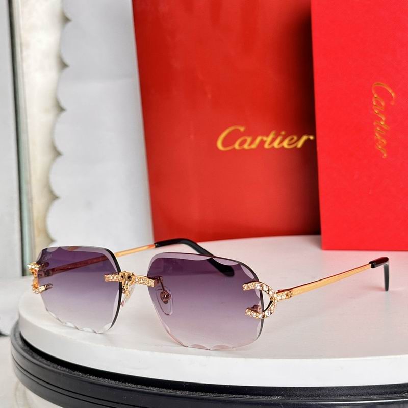 Cartier Glasses smr (3310)
