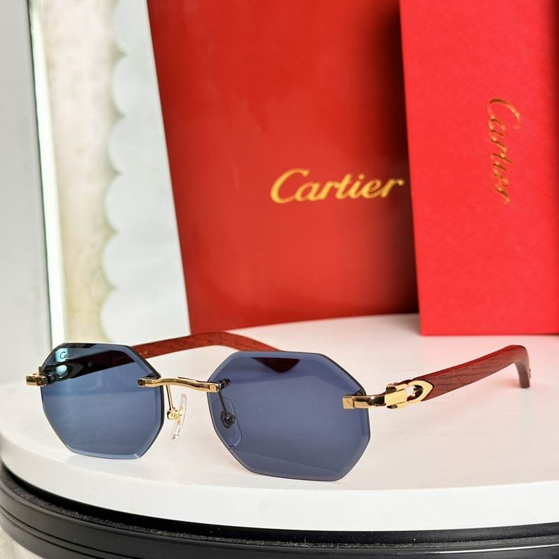 Cartier Glasses smr (3339)