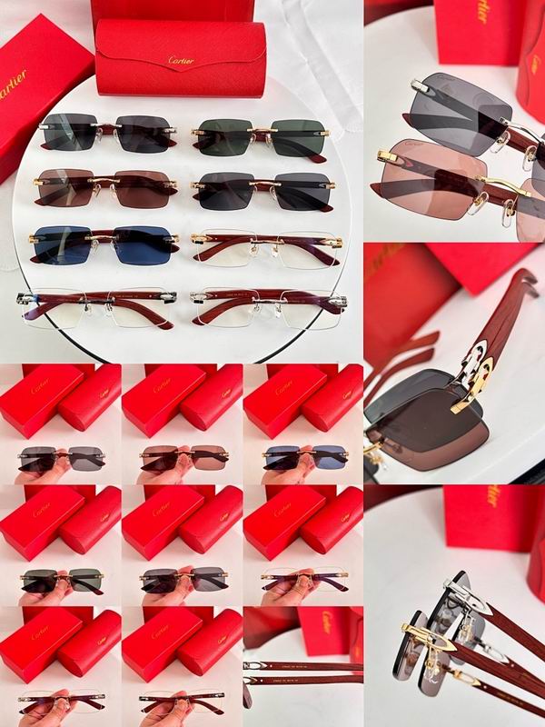 Cartier Glasses smr (3348)